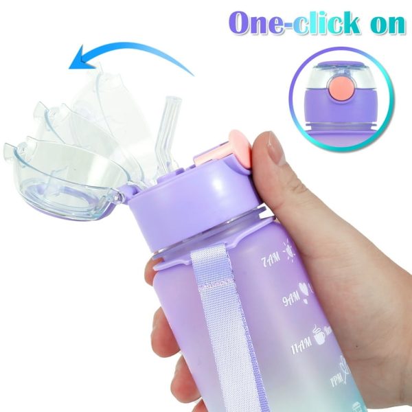 Pack of 3- Water Bottles (2 litre, 700 ml &300ml)